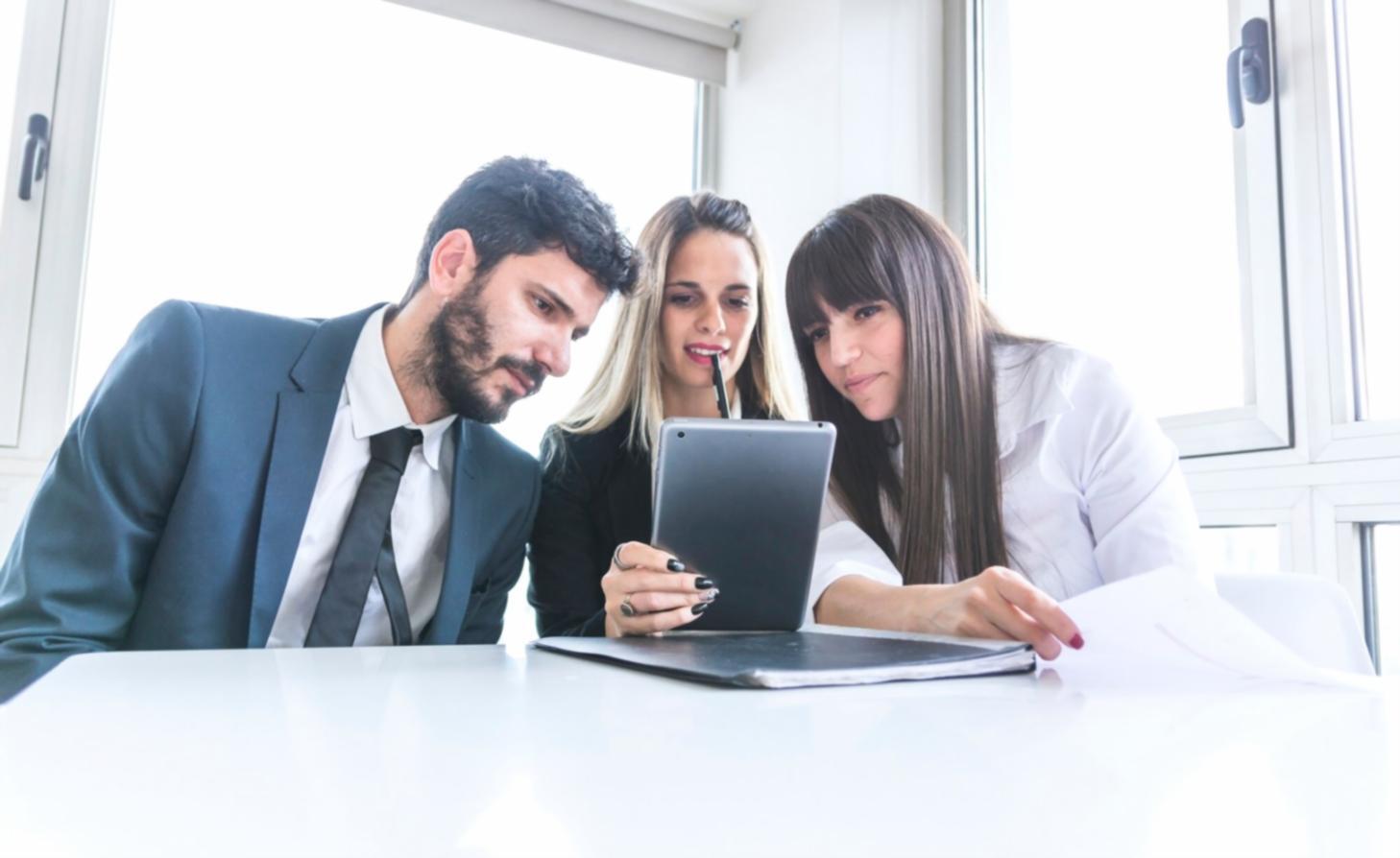 Financial data organization and budget software interface